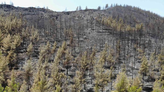 Marmaris’te Söndürülen Alanlar Havadan Görüntülendi