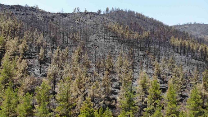 Marmaris’te Söndürülen Alanlar Havadan Görüntülendi