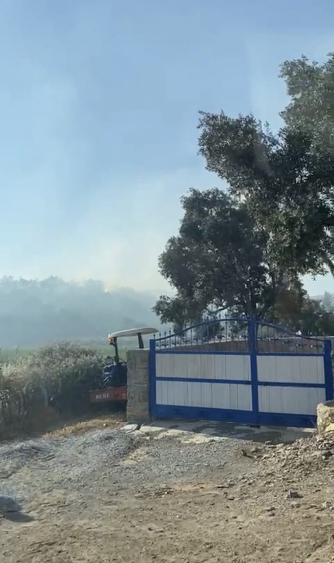 Milas’ta 50 Dönüm Zeytinlik Alan Yangında Zarar Gördü