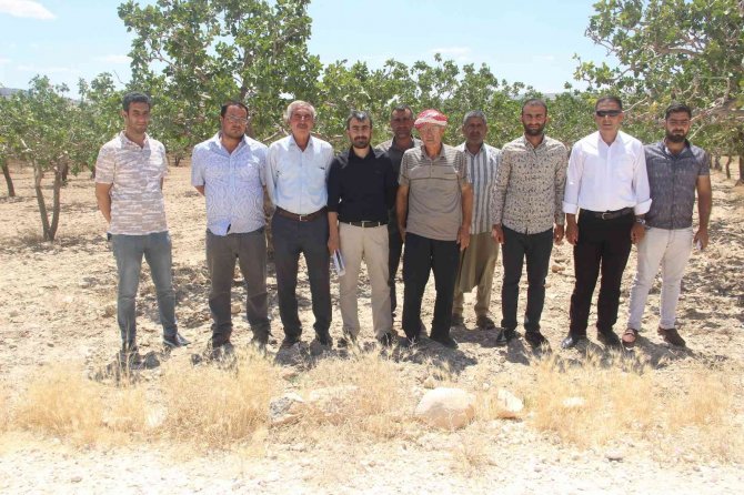 Şanlıurfa’da Fıstık Üreticileri Baklavacılara Ateş Püskürdü