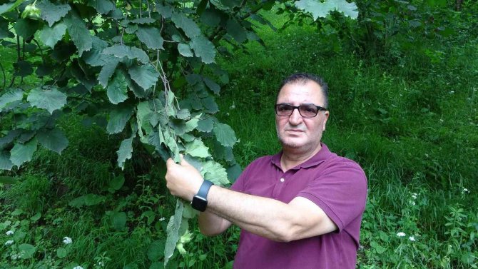 Arslantürk: "Pandemi Fındık Tarımını Bize Yeniden Öğretti"