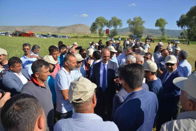 Üniversite Projeleri Sonuç Verdi ‘Tarla Günü’ Etkinliği Düzenlendi