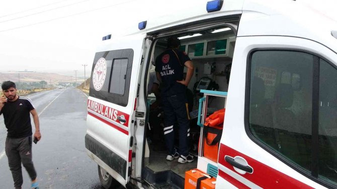 Kahvaltı Yapmak İçin Ağaç Altına Sığınan 6 Çobana Yıldırım Düştü