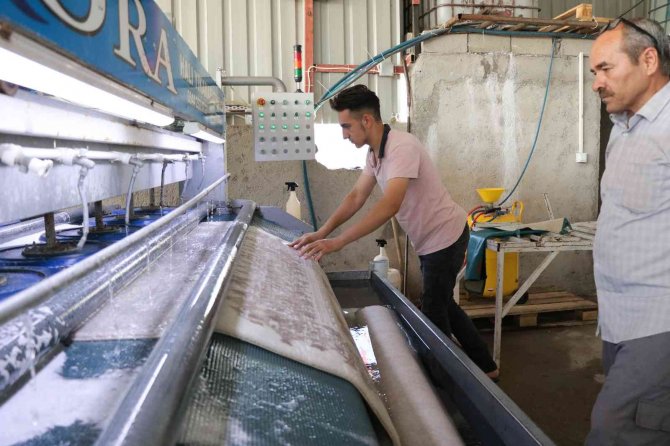 Halılar Mikrop Yuvası Olmaması İçin 3 Ayda Bir Temizlenmeli