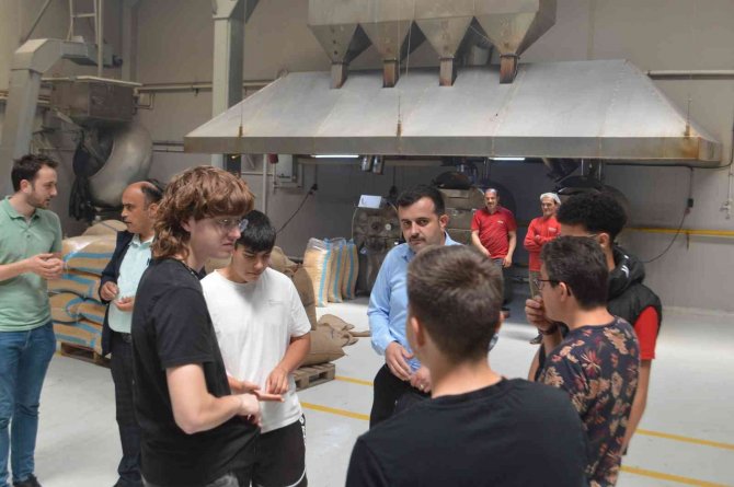 İ̇spanyol Öğretmen Ve Öğrenciler, Leblebi Üretimini Yerinde İnceledi