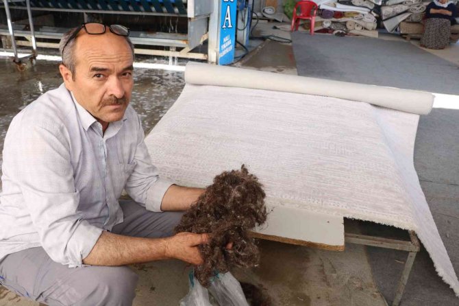 Halılar Mikrop Yuvası Olmaması İçin 3 Ayda Bir Temizlenmeli