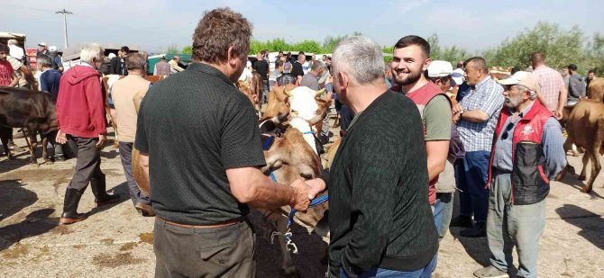 Kurbanlıklar Pazara İndi Sıkı Pazarlıklar Başladı