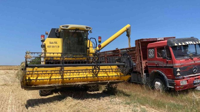 Aksaray’da Arpa Hasadı Başladı