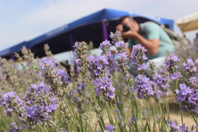 Salihli’de Lavanta Şenliğinin Üçüncüsü Yapıldı