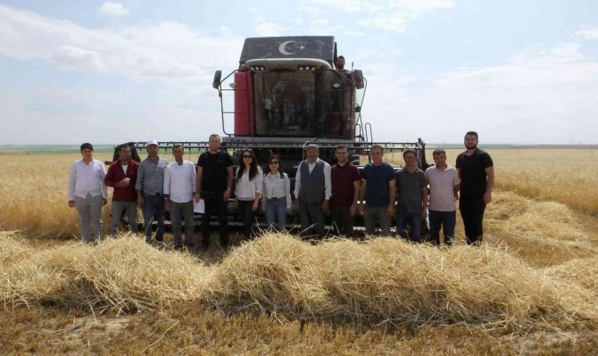 Sultanhanı’nda Biçerdöverler Kontrol Geçiyor