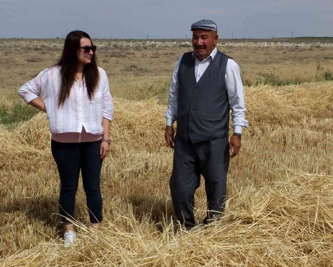 Sultanhanı’nda Biçerdöverler Kontrol Geçiyor