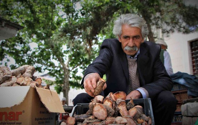 Elazığ’da Şifa Deposu Olarak Bilinen Işkın Otu Kökü Tezgahtaki Yerini Aldı