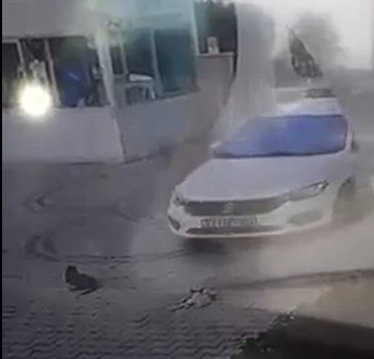 Otomobilini Kedilerin Üzerine Sürüp, Birini Telef Etti