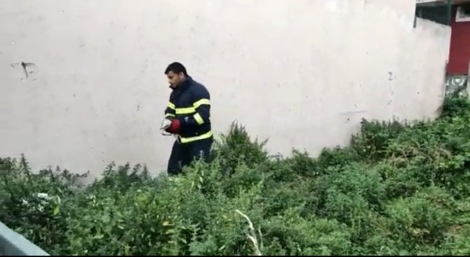 Mahsur Kalan Martıya İtfaiyeden Kurtarma Operasyonu
