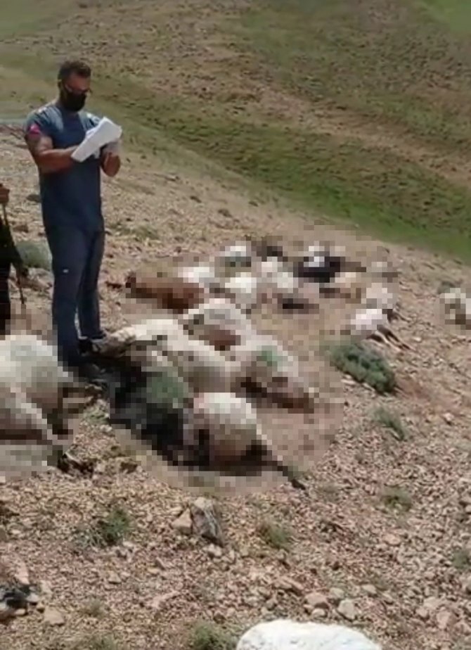 Ekipler Yıldırım Çarpan Çoban İçin Seferber Oldu