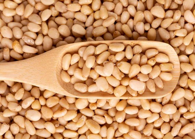 Türkiye’nin Çam Fıstığı İhracatı Son 5 Senede Yüzde 68 Arttı