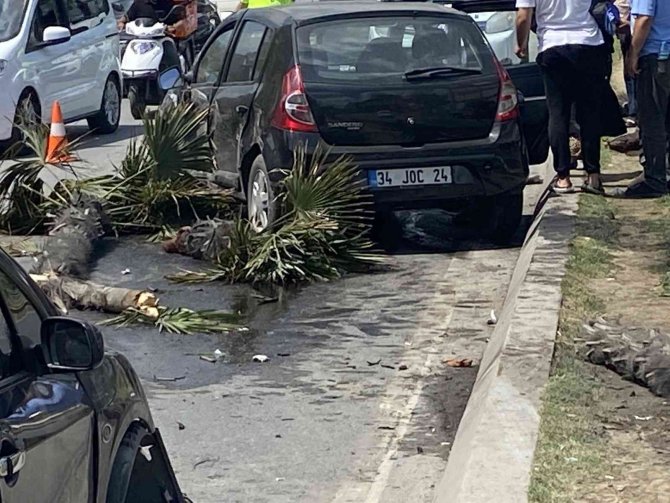Direksiyon Hakimiyetini Kaybeden 2 Sürücü Ağaçları Devirerek Karşı Şeride Uçtu