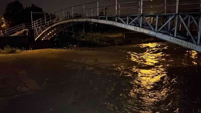 Yaslandığı Ağacın Dalı Kırılınca Dereye Düştü