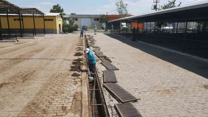 Hayvan Pazarı Bayrama Hazırlanıyor