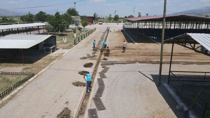 Hayvan Pazarı Bayrama Hazırlanıyor