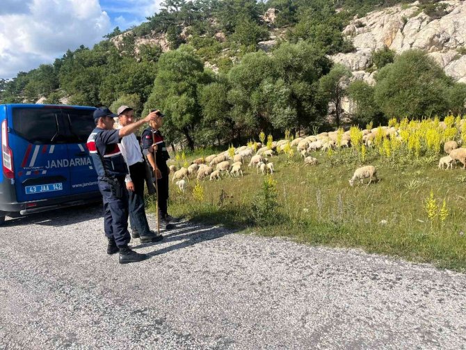 Jandarmadan Piknikçilere Orman Yangını Uyarısı
