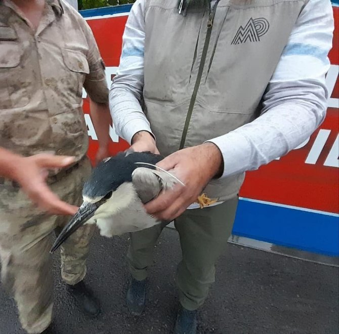 Kars’ta Yaralı Gece Balıkçılı Tedavi Altına Alındı