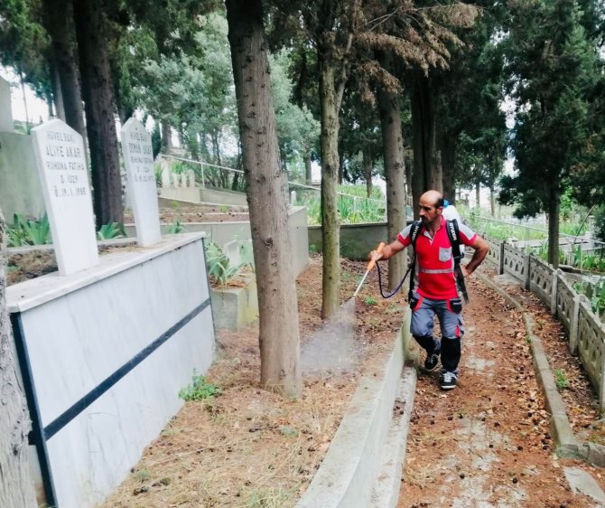 Mezarlıklarda Bayram Temizliği