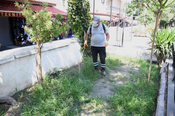 Kuşadası’nda Haşere Ve Kara Sineğe Karşı Etkin Mücadele