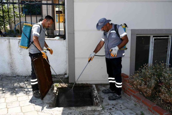 Kuşadası’nda Haşere Ve Kara Sineğe Karşı Etkin Mücadele