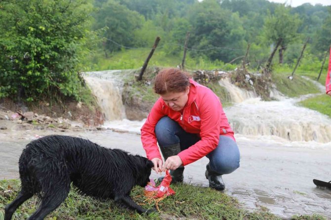 Kızılay, Batı Karadeniz’deki Sel Felaketine Müdahale Etmek İçin Sahaya İntikal Etti