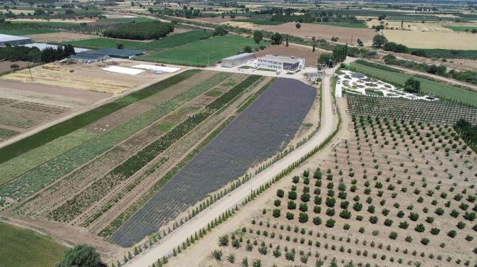 A’dan Z’ye Aromaterapi Baçem’de Konuşulacak