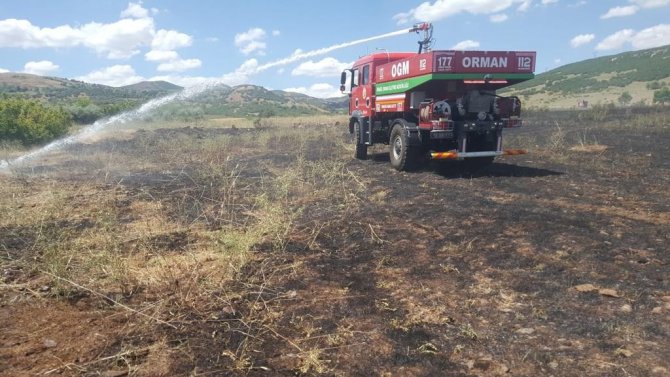 Bingöl’de Ot Yangını Ormana Sıçramadan Söndürüldü