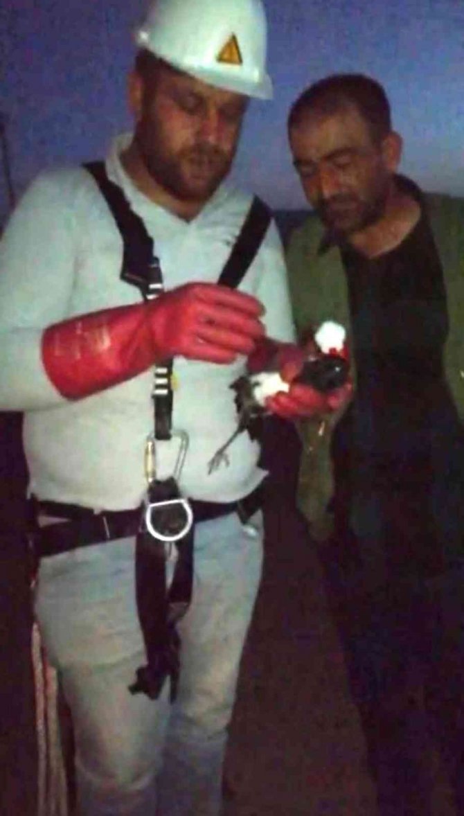Bitlis’te Elektrik Tellerine Takılan Karga Kurtarıldı