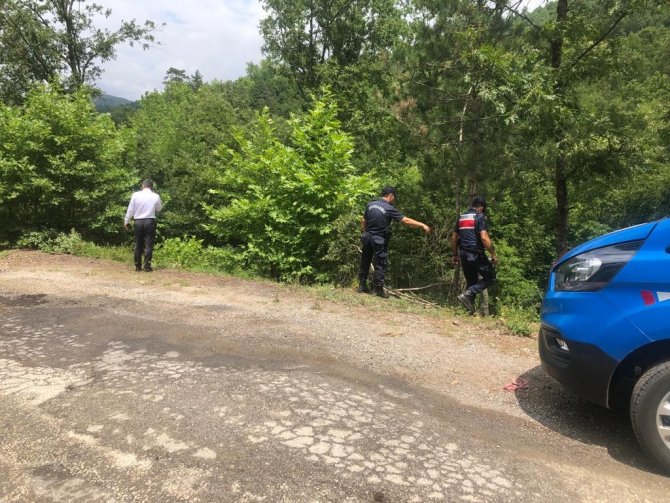 Ortağını Pompalı Tüfekle Vurdu, Cansız Bedenini Ormanlık Alana Bıraktı