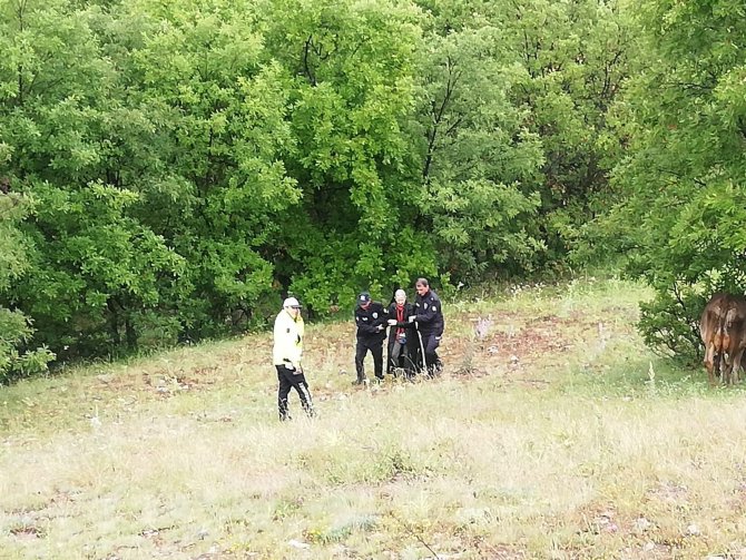 Kayıp Amerikalı Turist Ormanlık Alanda Bulundu