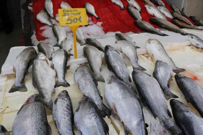 Balıkçılar Yeni Sezonu İple Çekiyor