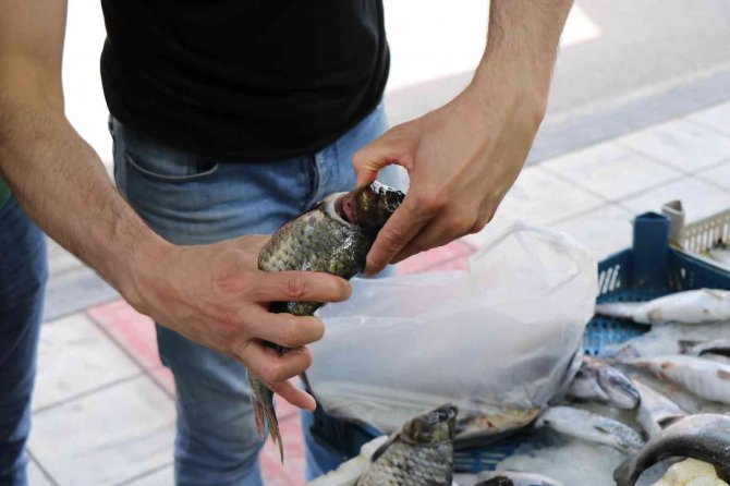 Balıkçılar Yeni Sezonu İple Çekiyor