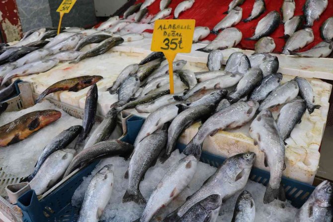 Balıkçılar Yeni Sezonu İple Çekiyor