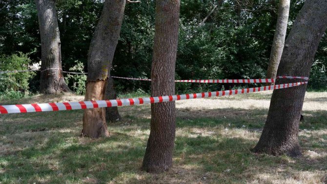 Edirne’de Ormanlara Giriş 3 Ay Yasaklandı