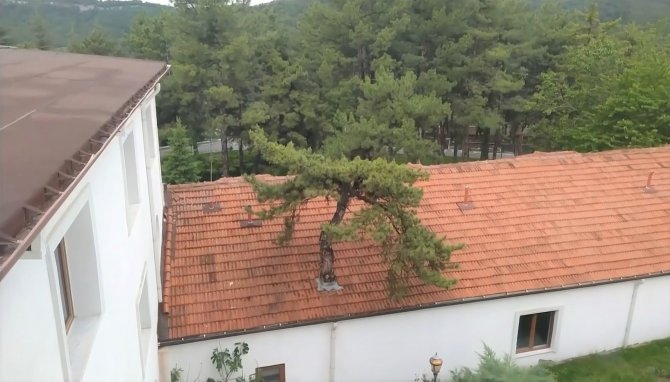 Kütahya’nın En Çevreci Termal Oteli