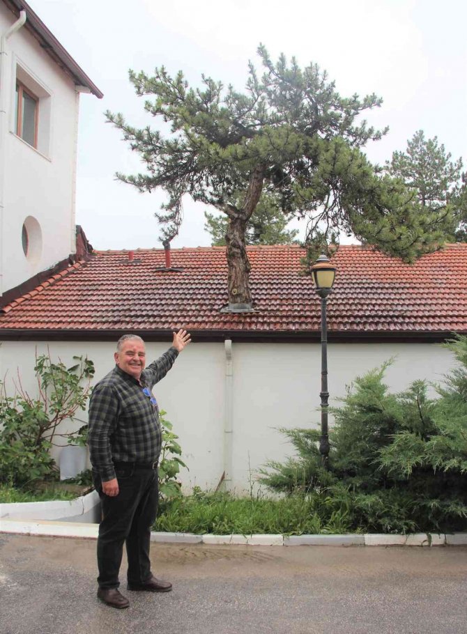 Kütahya’nın En Çevreci Termal Oteli