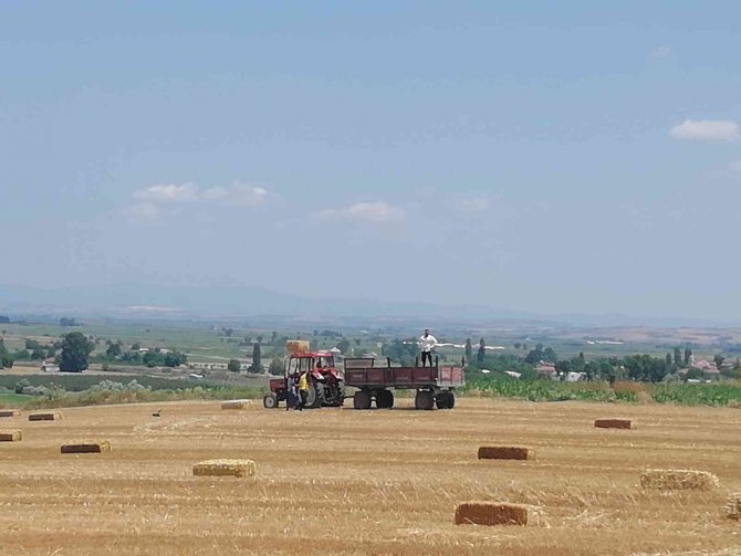 Manyas’ta Saman Balyaları Depolara Konuyor