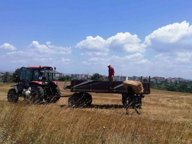 Manyas’ta Saman Balyaları Depolara Konuyor