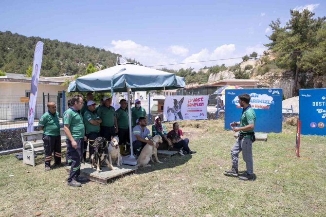 Mersin’de Köpek Eğitim Alanı Kuruldu