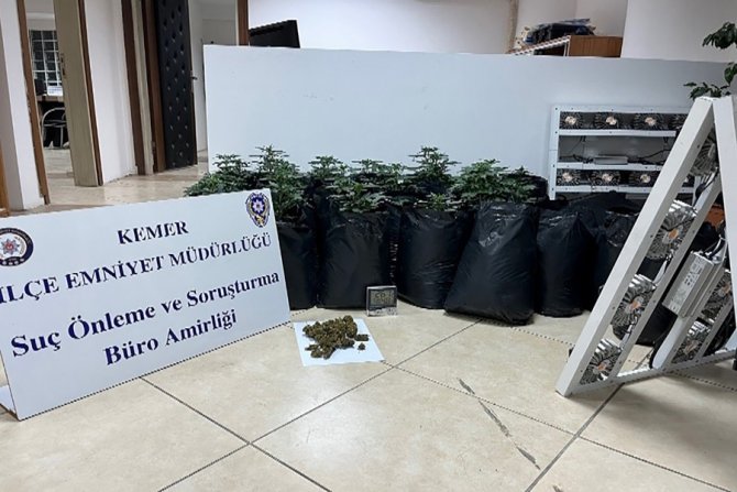 Kemer’de Kaçak Tütün Ve Kenevir Operasyonları