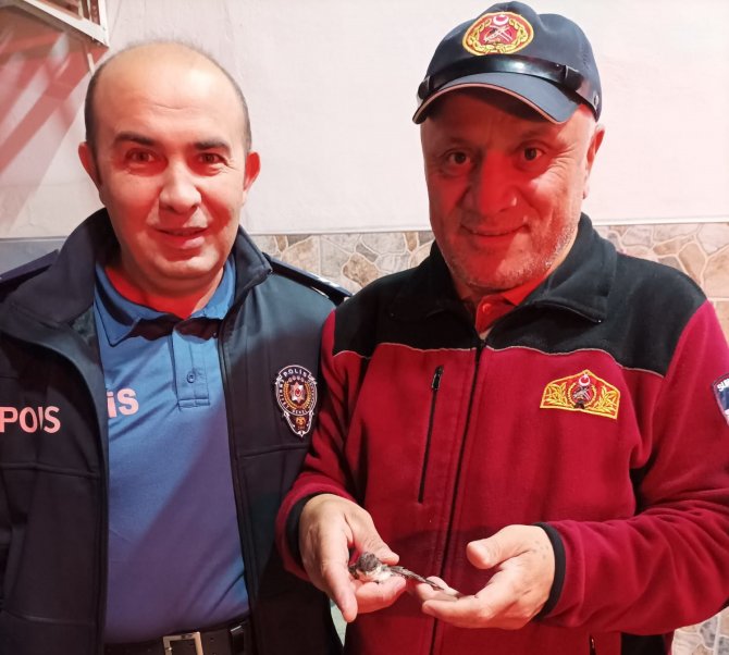 İ̇tfaiye Ekipleri Yavru Kuşlar İçin Seferber Oldu