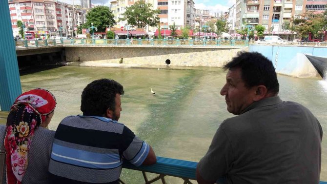Yeşilırmak’ta Belgesel Tadında Görüntüler