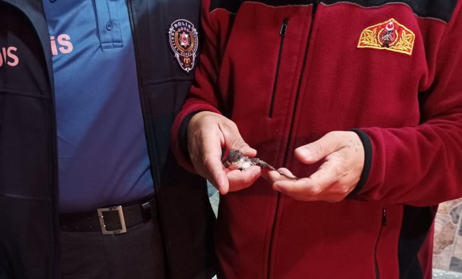 İ̇tfaiye Ekipleri Yavru Kuşlar İçin Seferber Oldu