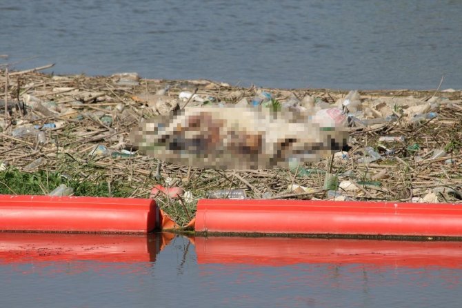 Ekodosd’tan Menderes Nehri’ni Koruma Çağrısı