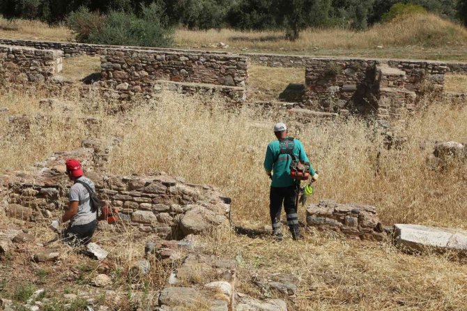 Efeler’den Tralleis Antik Kenti’nde Kuru Ot Temizliği